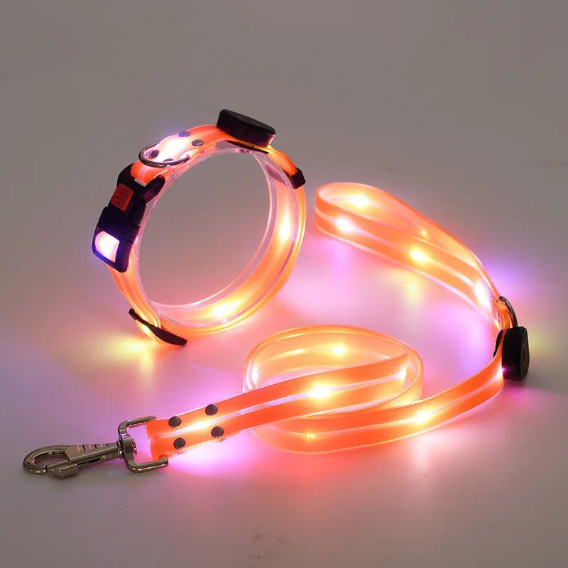LED-koppel och halsband – synligt i mörker