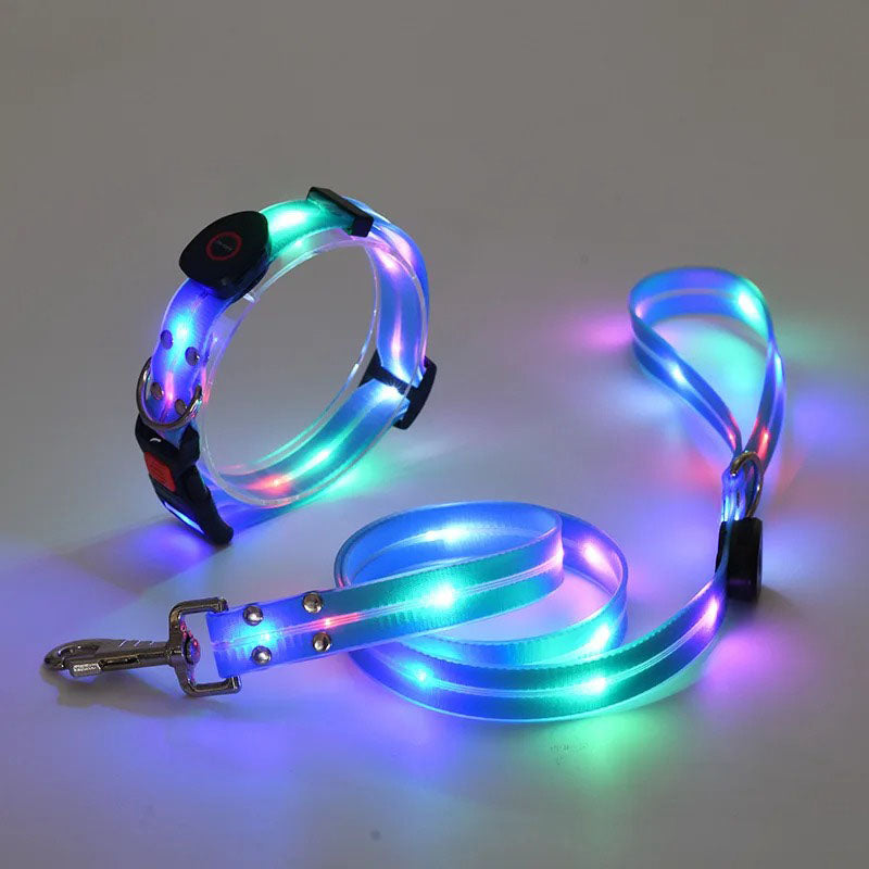 LED-koppel och halsband – synligt i mörker