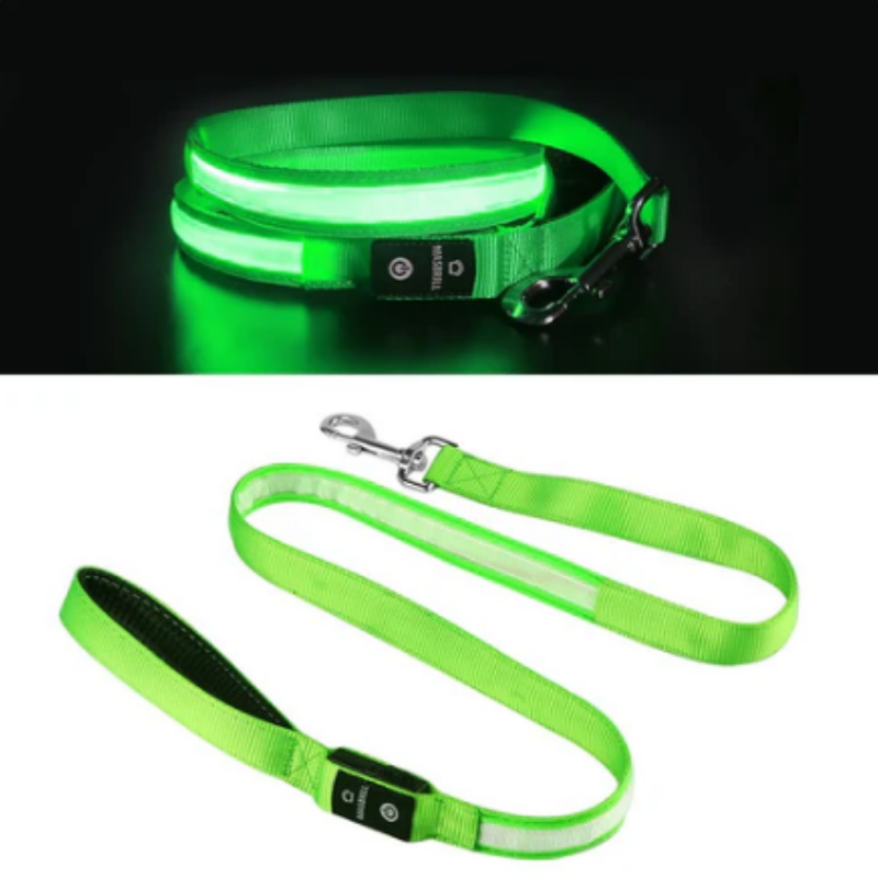 LED-Koppel för Hund & Katt