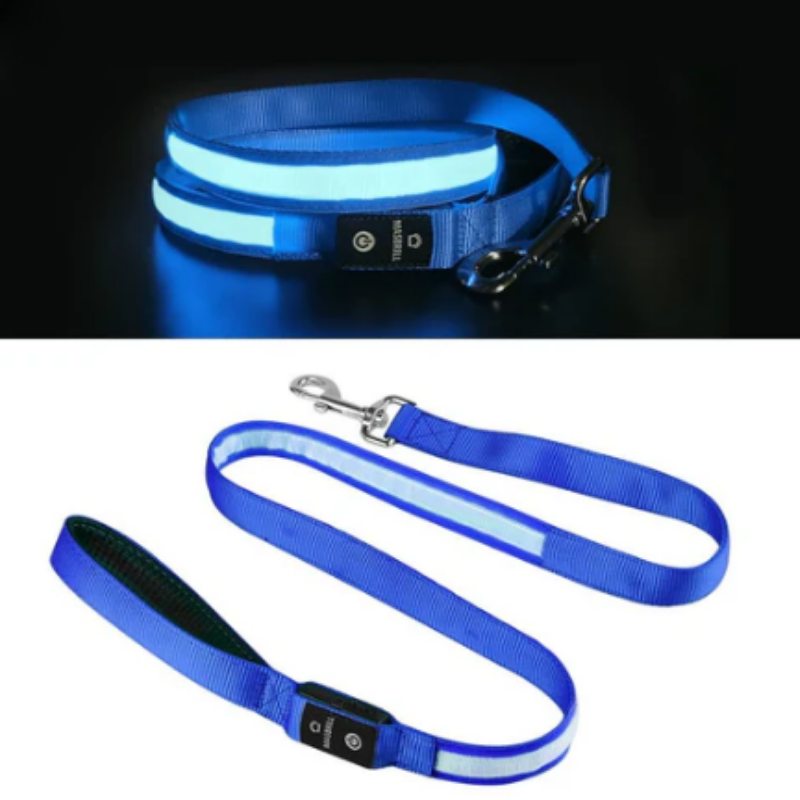 LED-Koppel för Hund & Katt