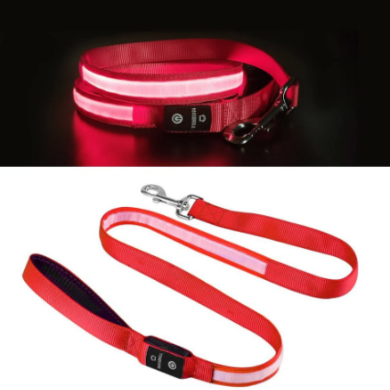 LED-Koppel för Hund & Katt
