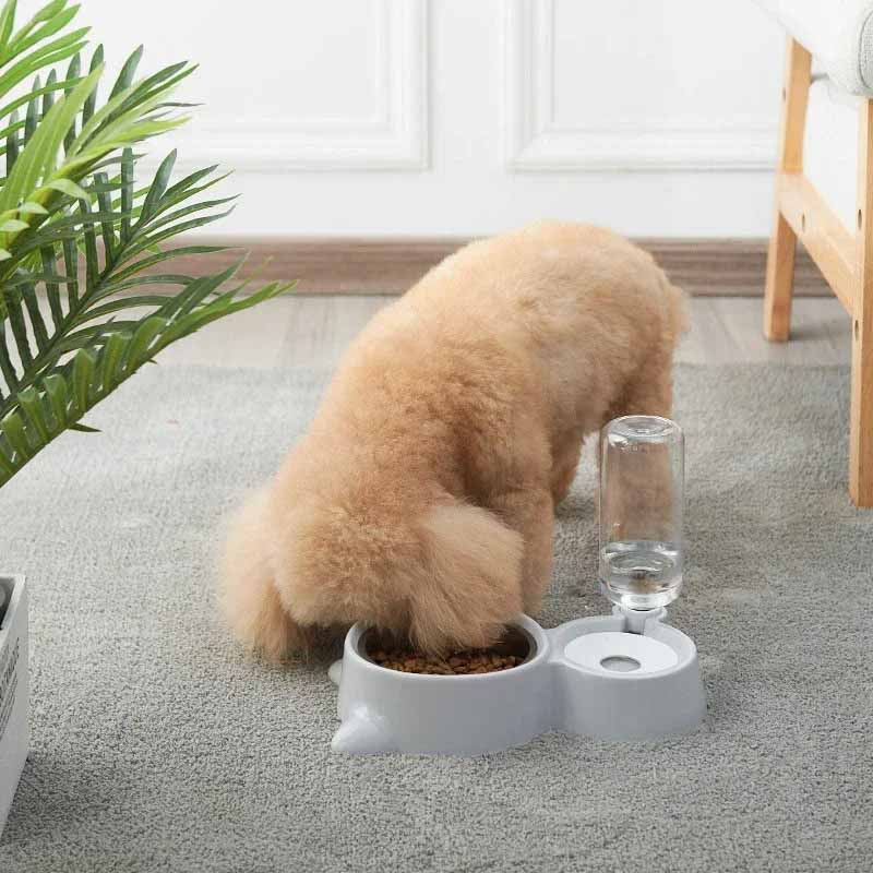 Matskål med vattendispenser för katt och hund – 2 i 1