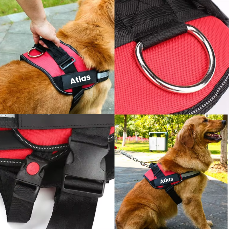 Robust & Bekväm Hundsele med Handtag- med personlig namntext!