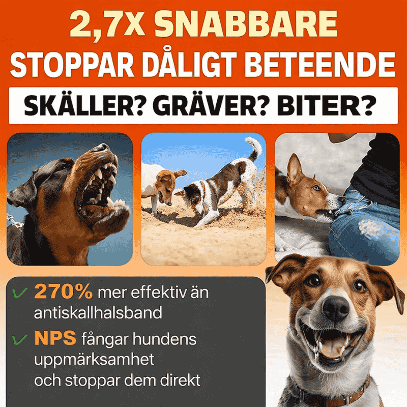 Hundträningsenhet med ultraljud och ficklampa