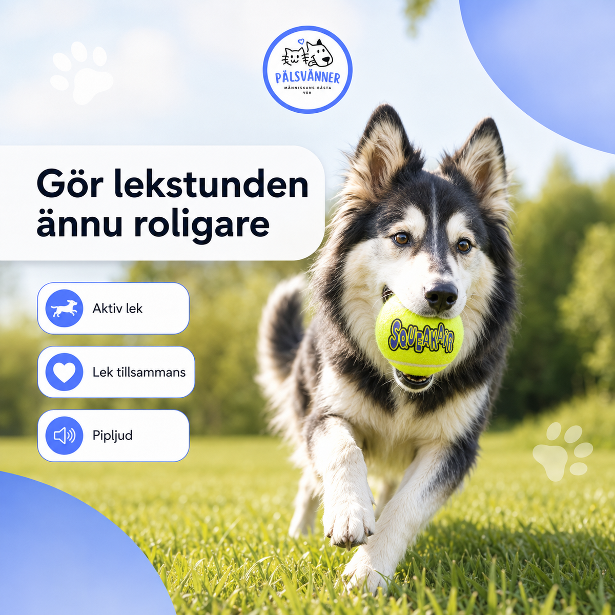 KONG SqueakAir Tennisboll med pipljud för hund 8cm