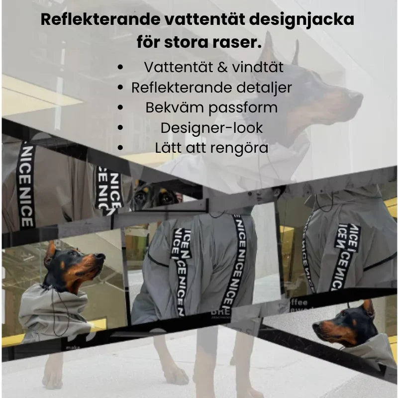 Stor hundregnjacka