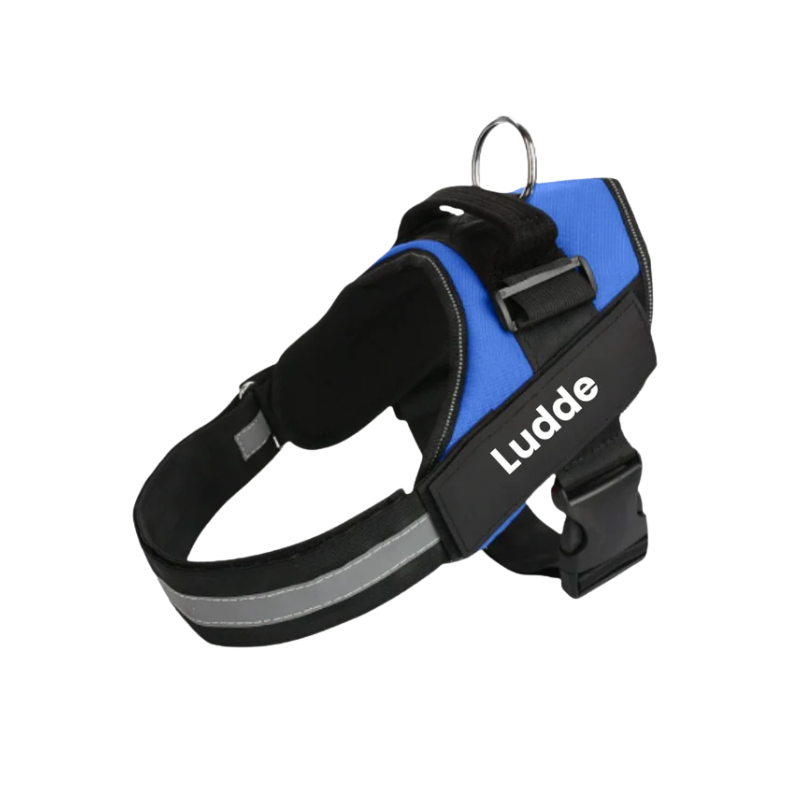 Robust & Bekväm Hundsele med Handtag- med personlig namntext!