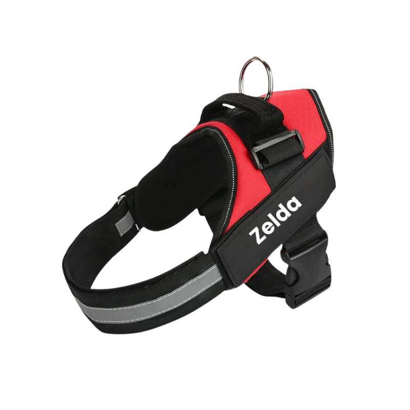 Robust & Bekväm Hundsele med Handtag- med personlig namntext!