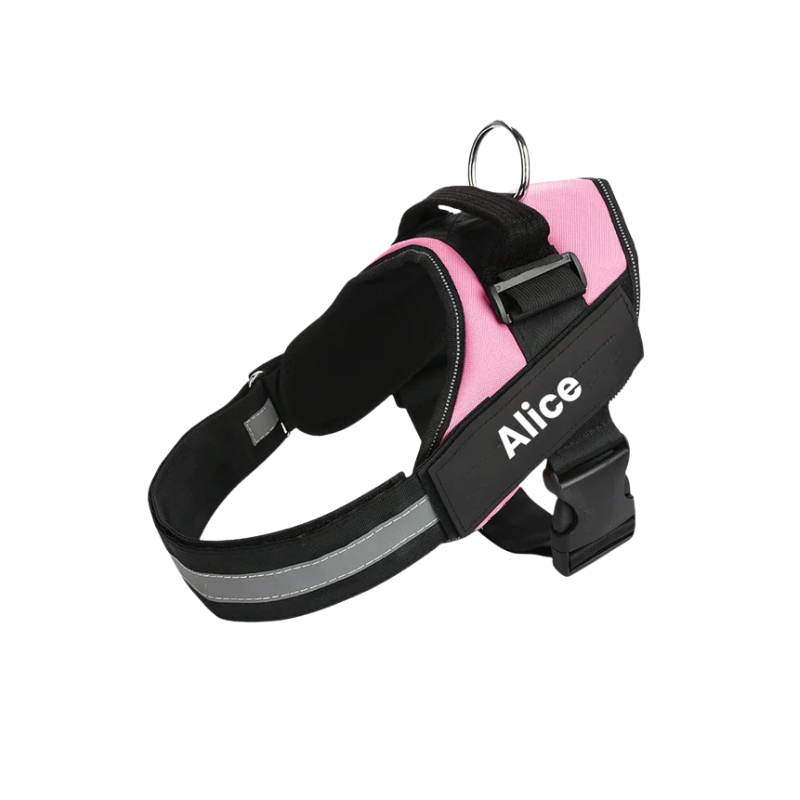 Robust & Bekväm Hundsele med Handtag- med personlig namntext!