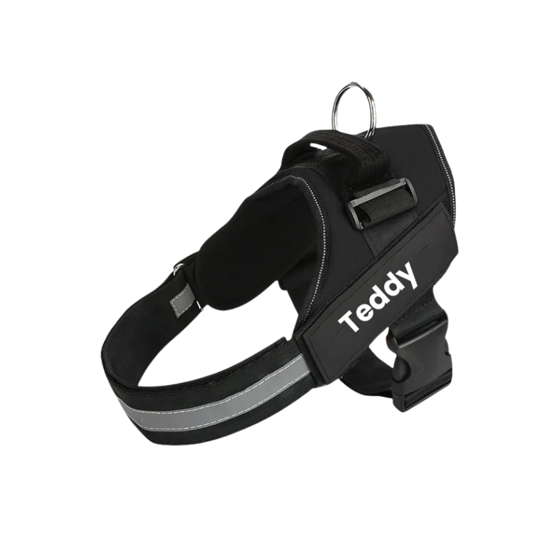 Robust & Bekväm Hundsele med Handtag- med personlig namntext!
