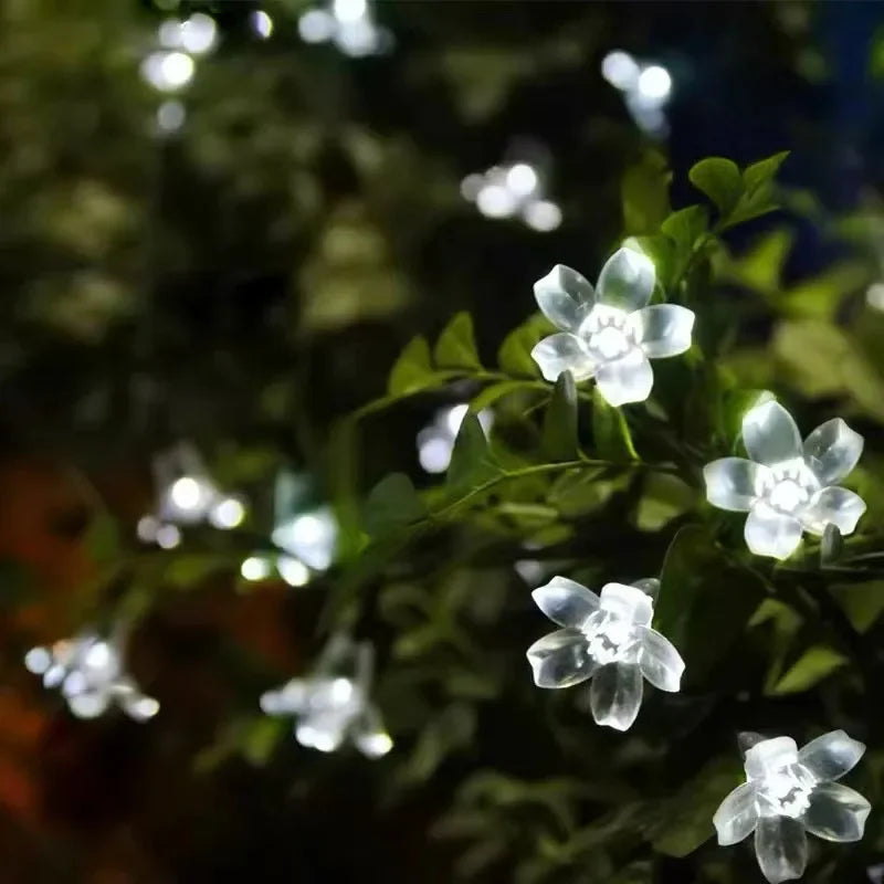 SolcellBlomma Glow