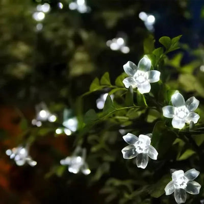 SolcellBlomma Glow