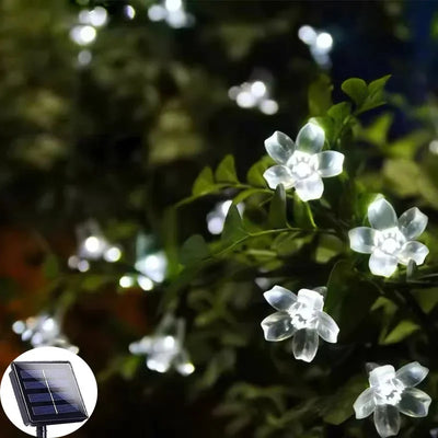 SolcellBlomma Glow