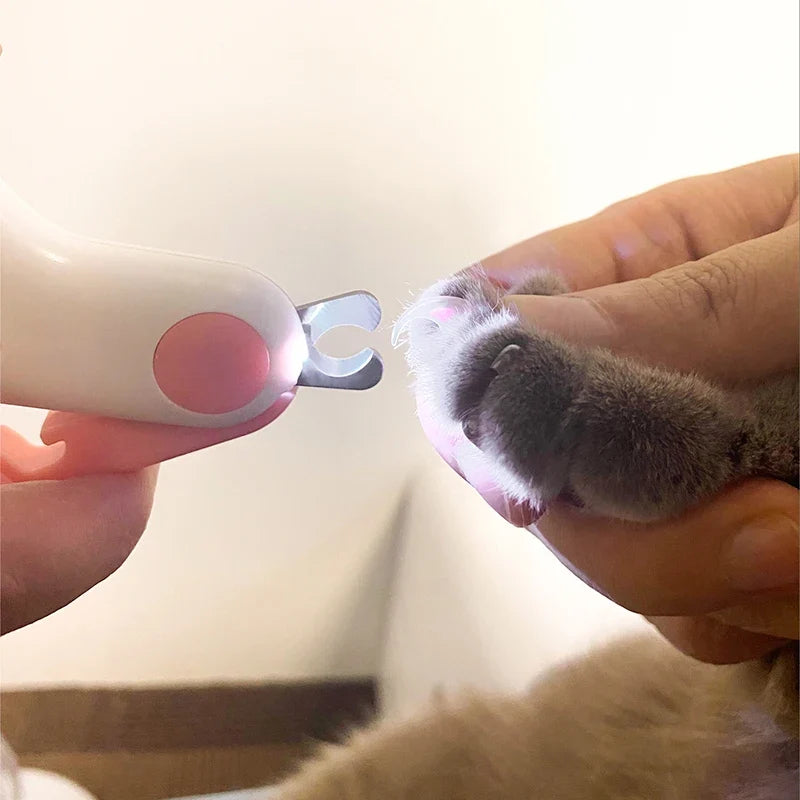 Klosax med LED-ljus för Hund och Katt