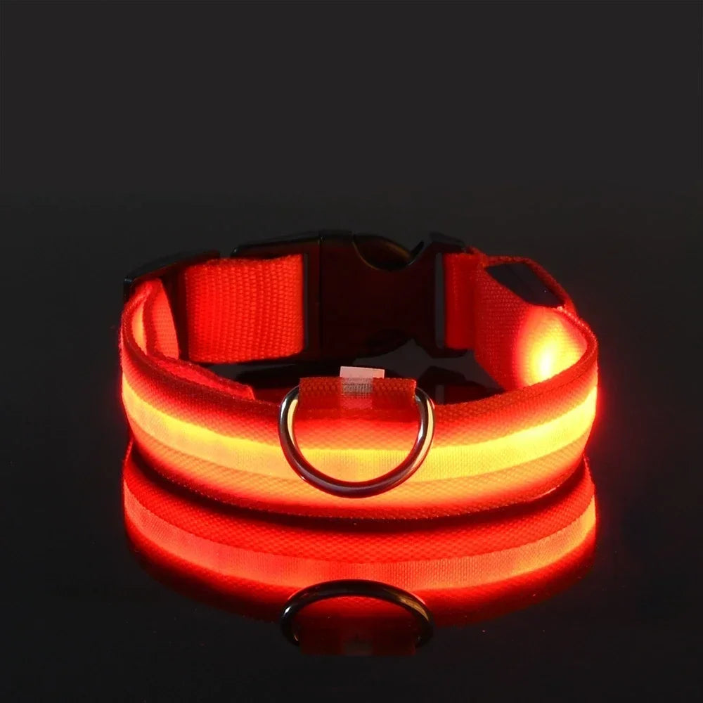 Laddningsbart LED Halsband för Hund