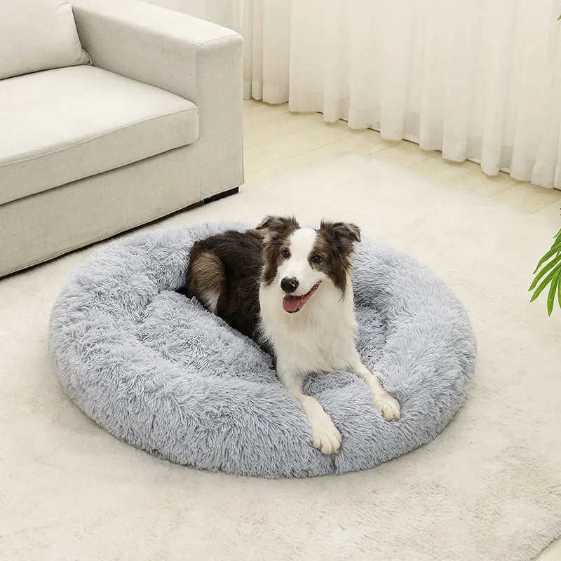 Fluffig Rund Hundbädd i Plysch – Mjuk Donutbädd för Hund