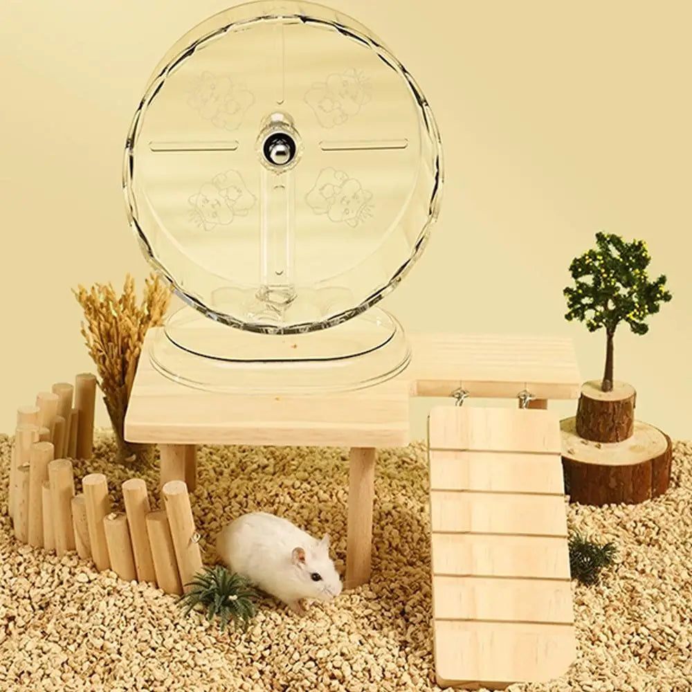 Tyst hamsterhjul i transparent design