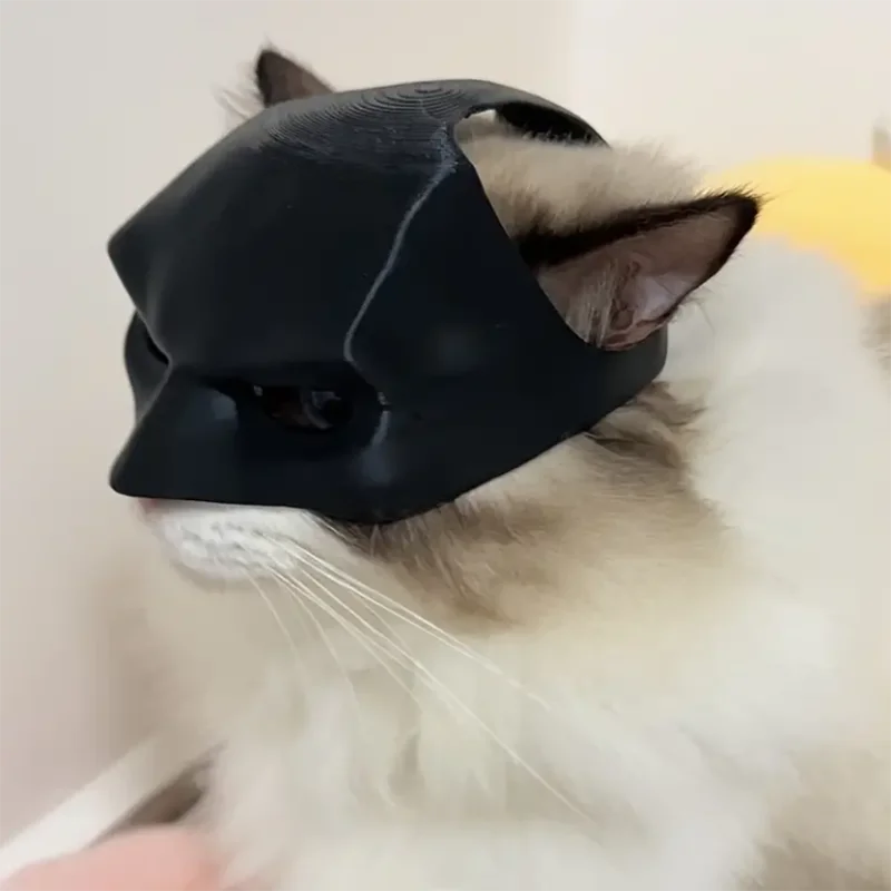 BatCat-mask för katt