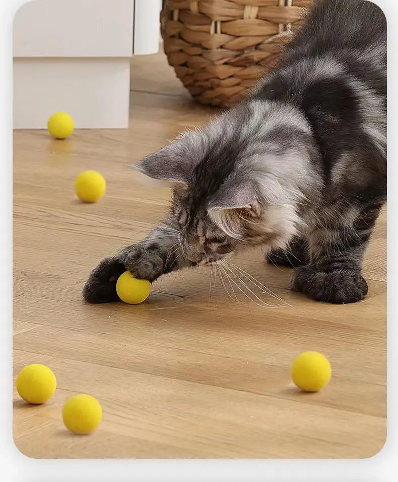Bollskjutare med mjuka bollar för katt