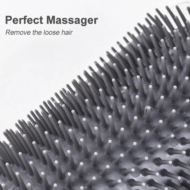 Väggmonterad kattborste för pälsvård och massage