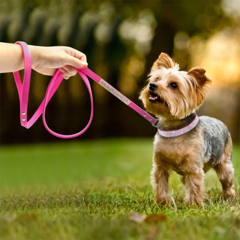 Glittrigt Hundhalsband med Strass – Justerbart Halsband för Små Hundar