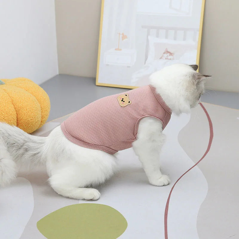 Katttröja med björnmotiv