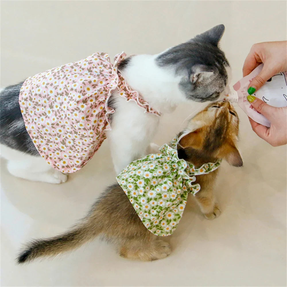 Blommig klänning för katter och kattungar