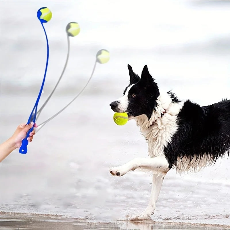 Bollkastare för Hund – Tennisbollskastare för Lek och Apportering