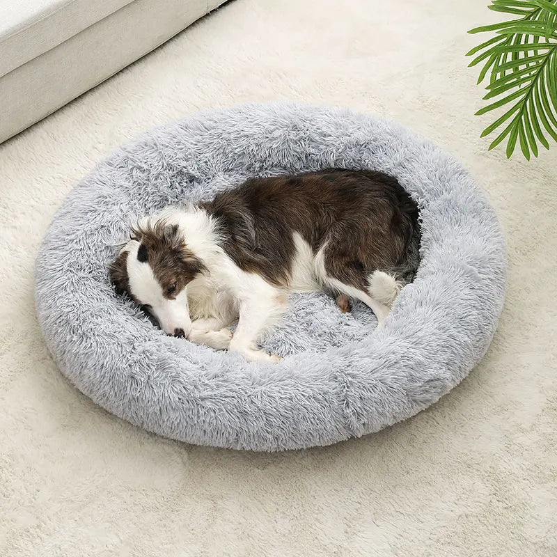 Fluffig Rund Hundbädd i Plysch – Mjuk Donutbädd för Hund