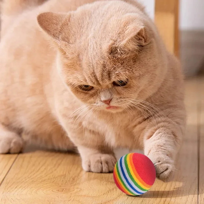 Färgglada leksaksbollar för katt, 5-pack