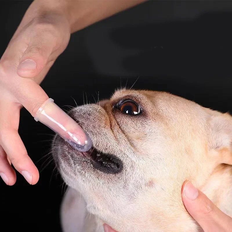 Fingertandborstar i Silikon för Hund och Katt 6-pack
