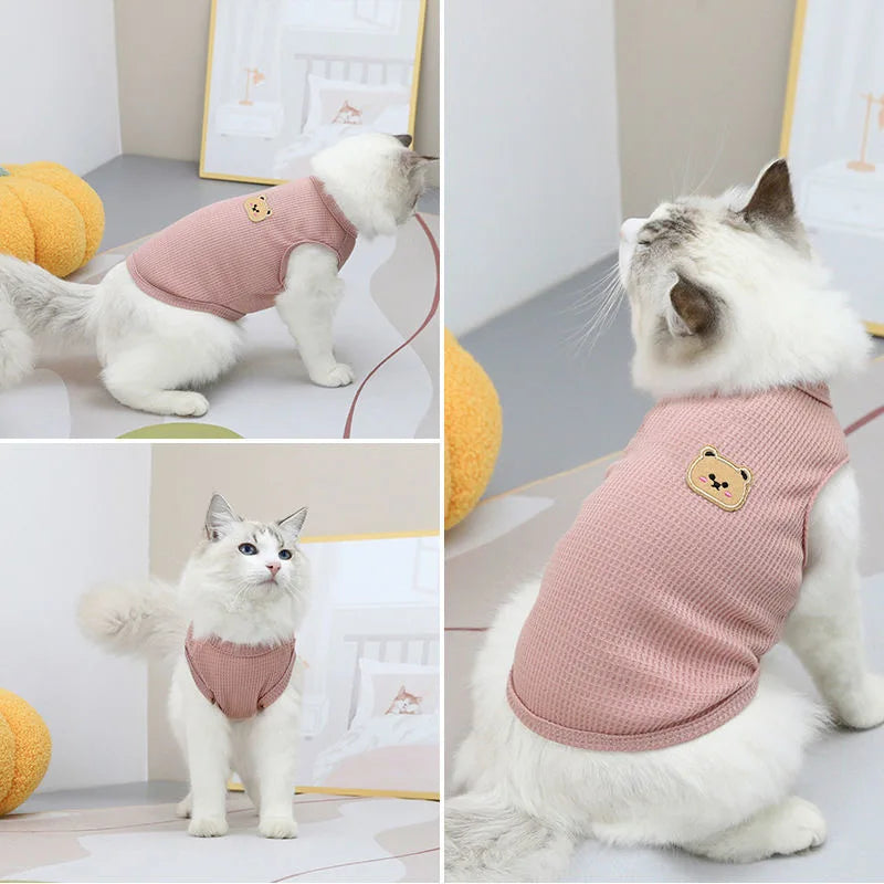 Katttröja med björnmotiv