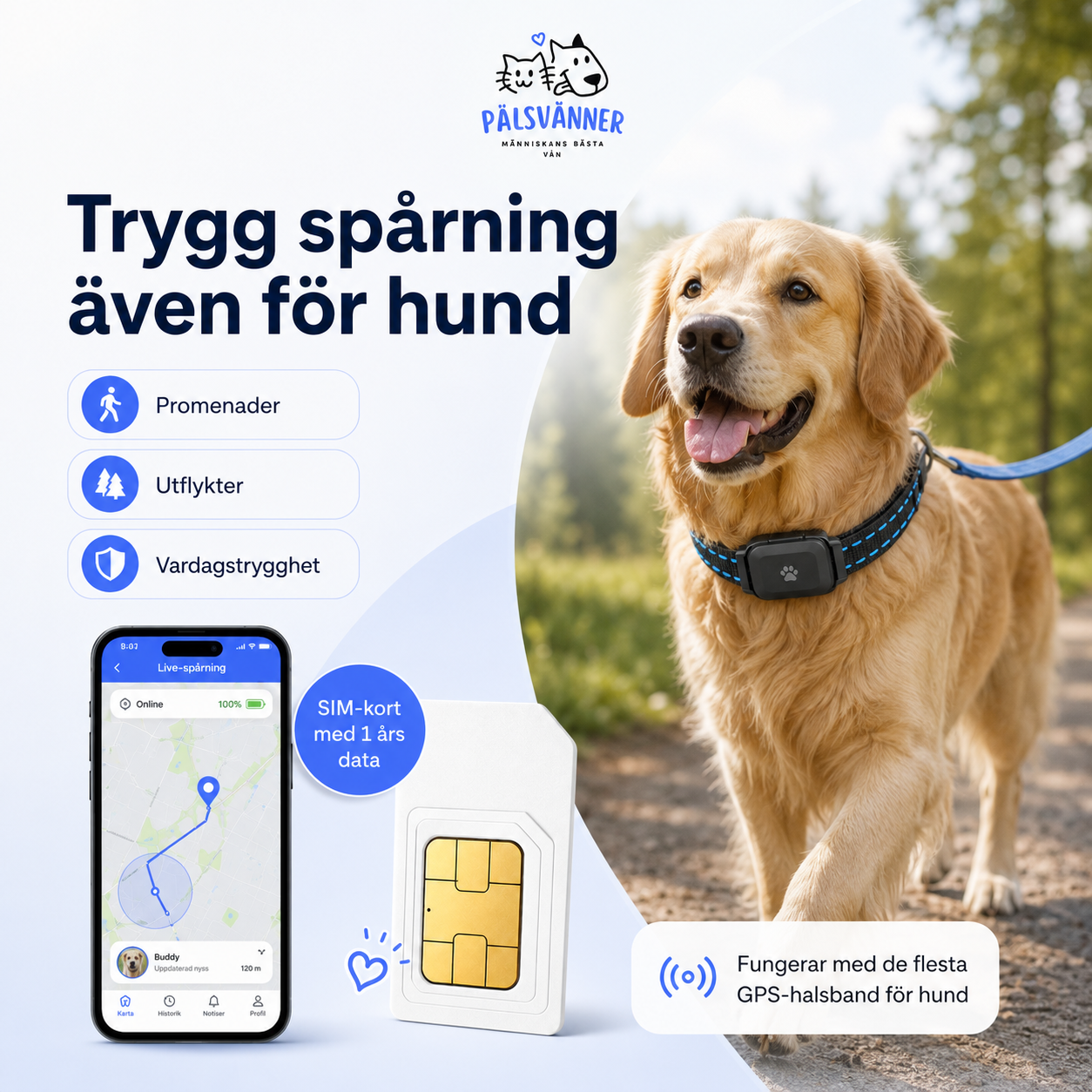 SIM-kort med 1 års data för GPS-halsband