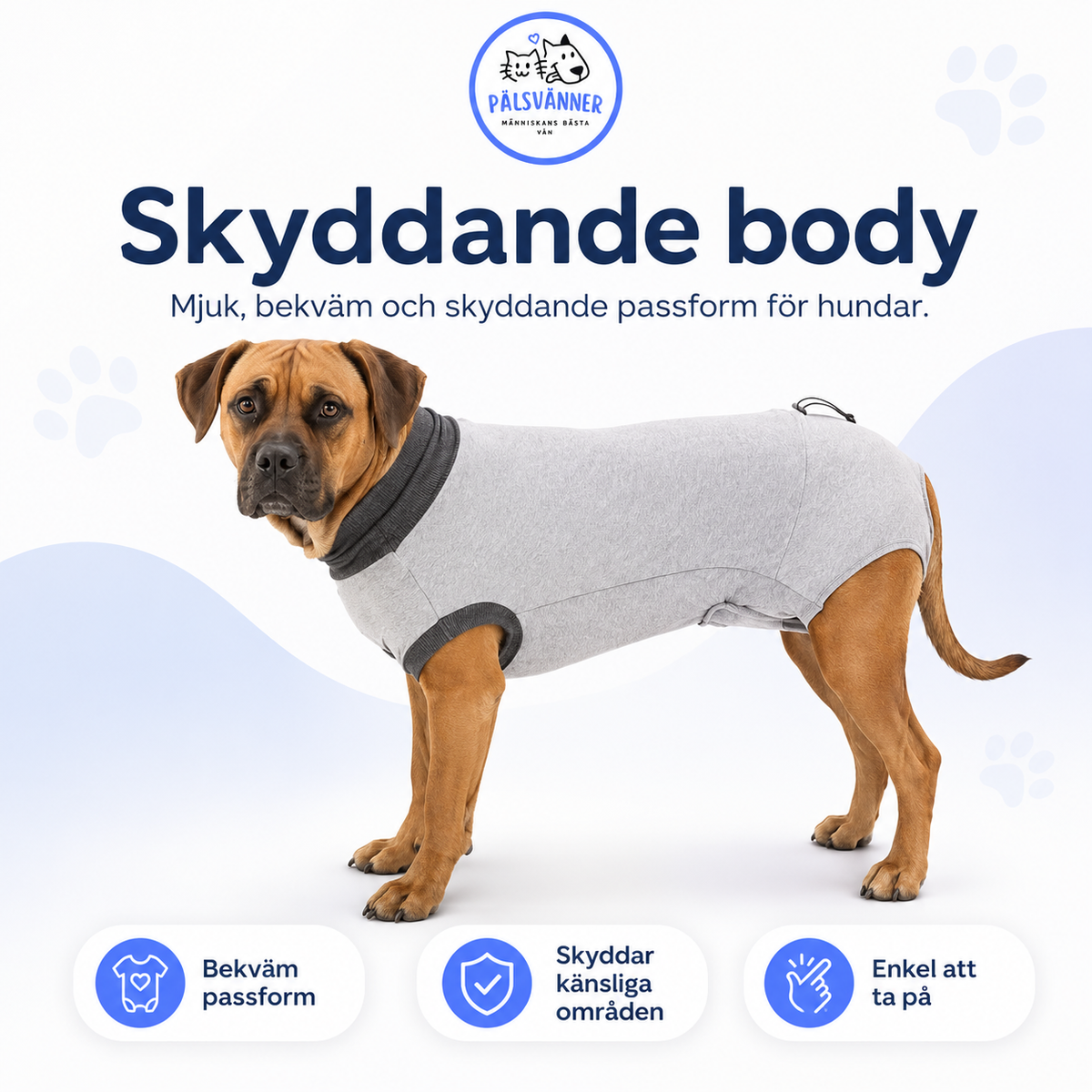 Skyddande Body för hund – efter operation