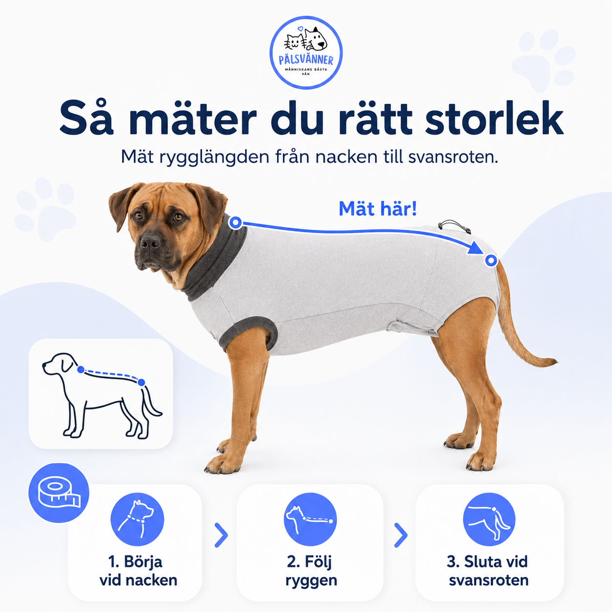 Skyddande Body för hund – efter operation