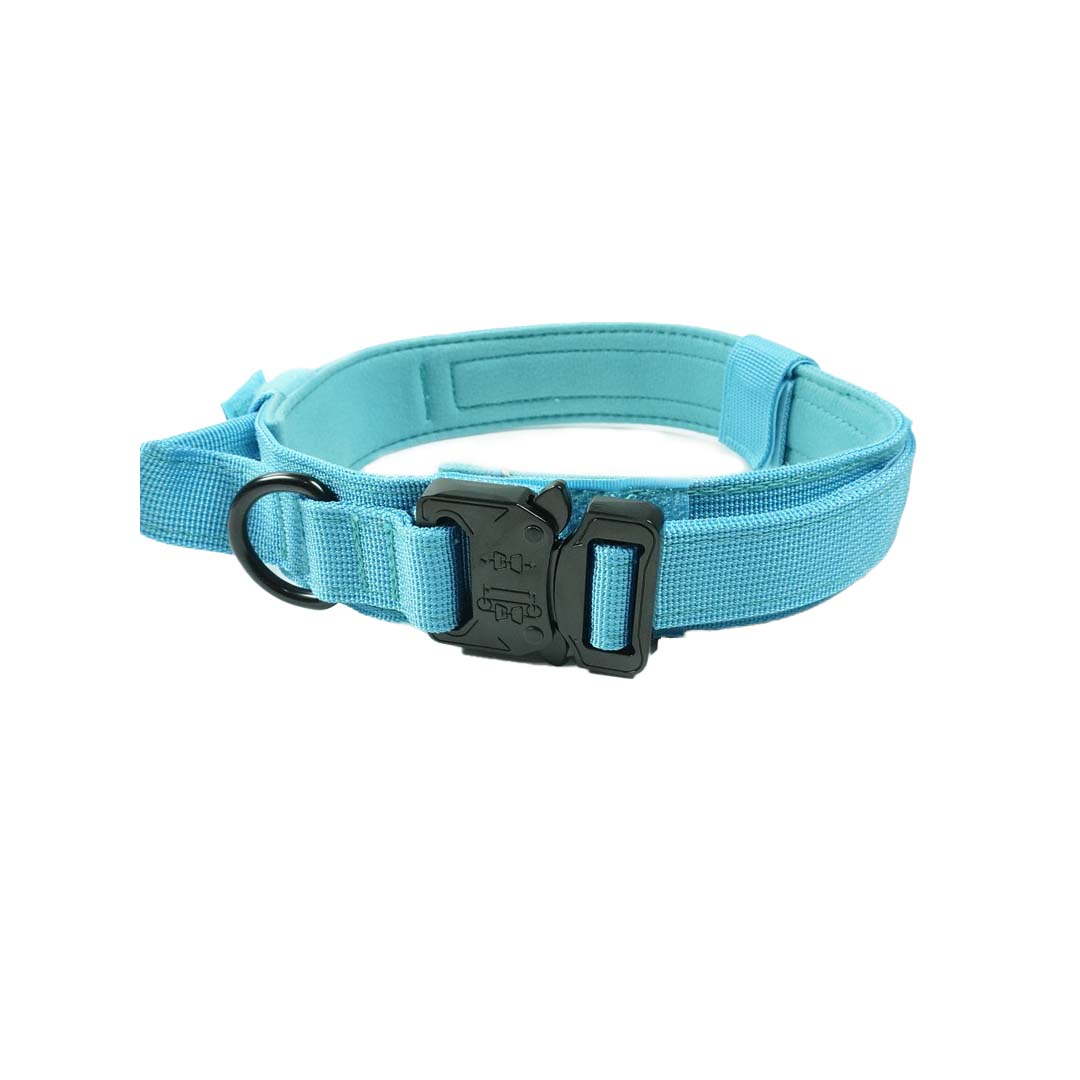 Slitstarkt hundhalsband