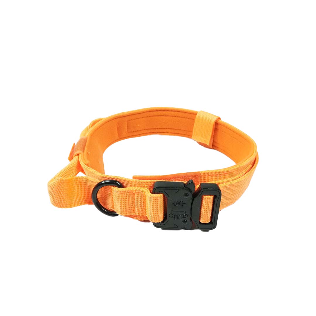 Slitstarkt hundhalsband