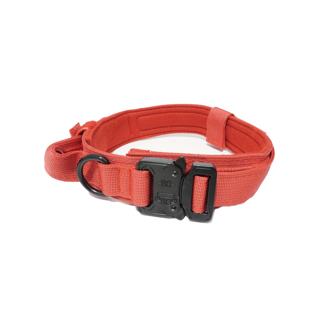 Slitstarkt hundhalsband