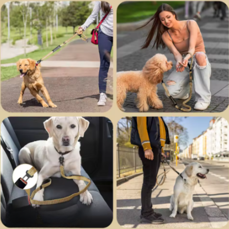 Kvalitetskoppel - dämpar drag och skyddar din hund!