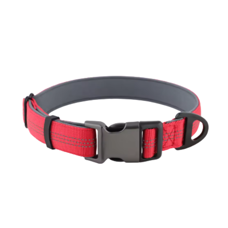 Reflekterande Hundhalsband – Mjukt & Justerbart