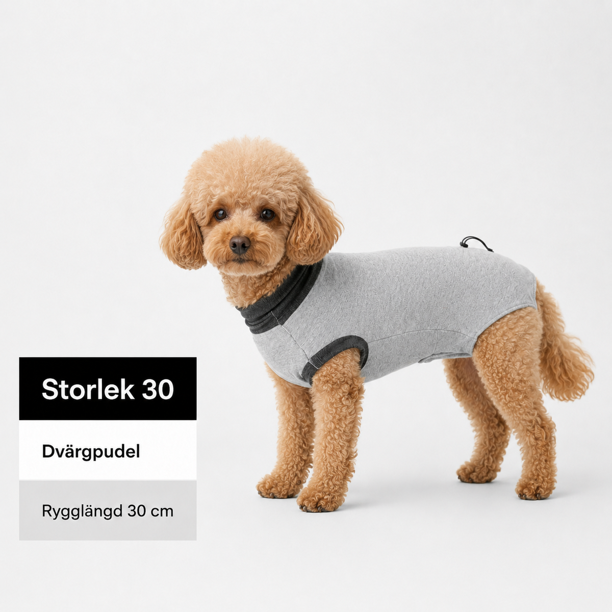 Skyddande Body för hund – efter operation