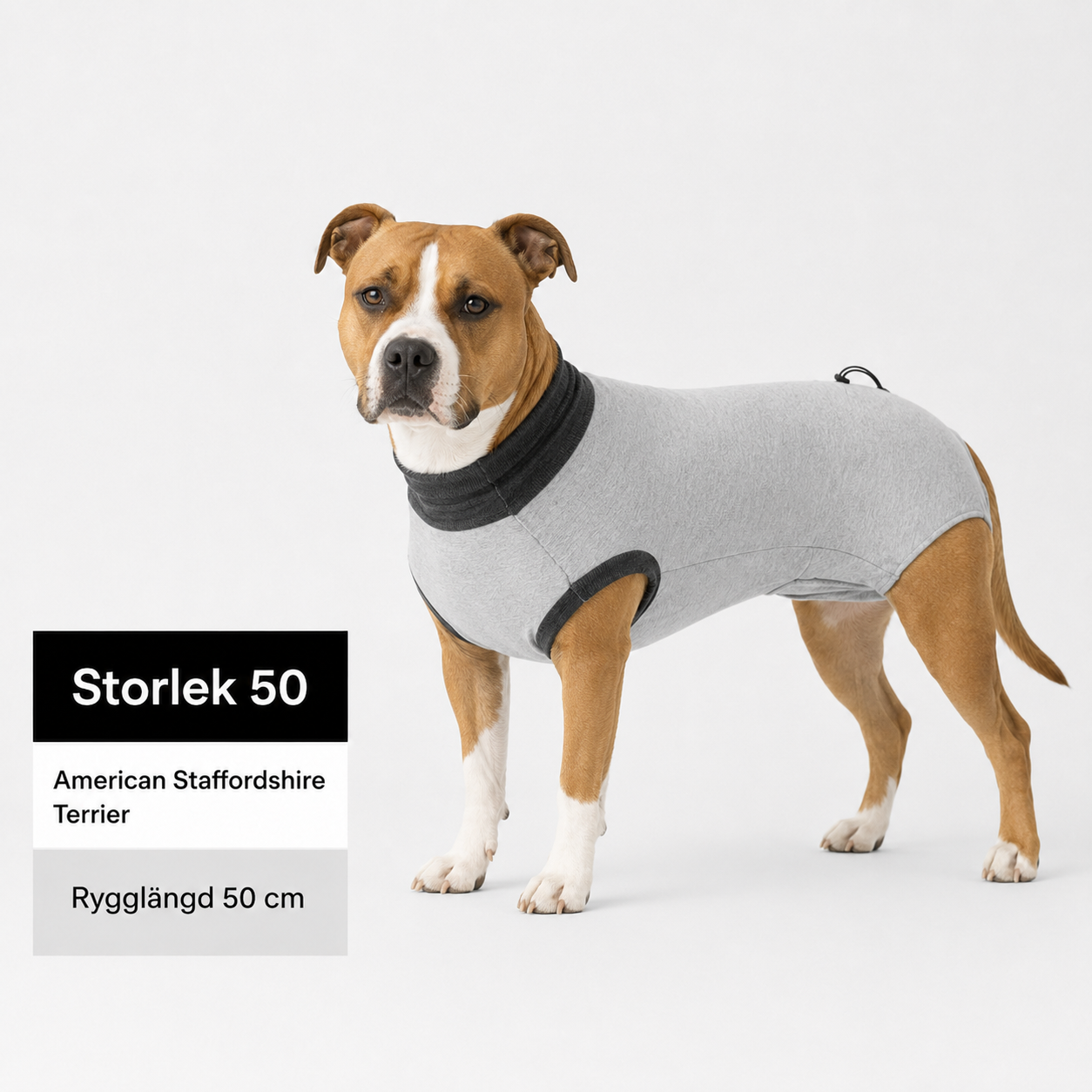 Skyddande Body för hund – efter operation