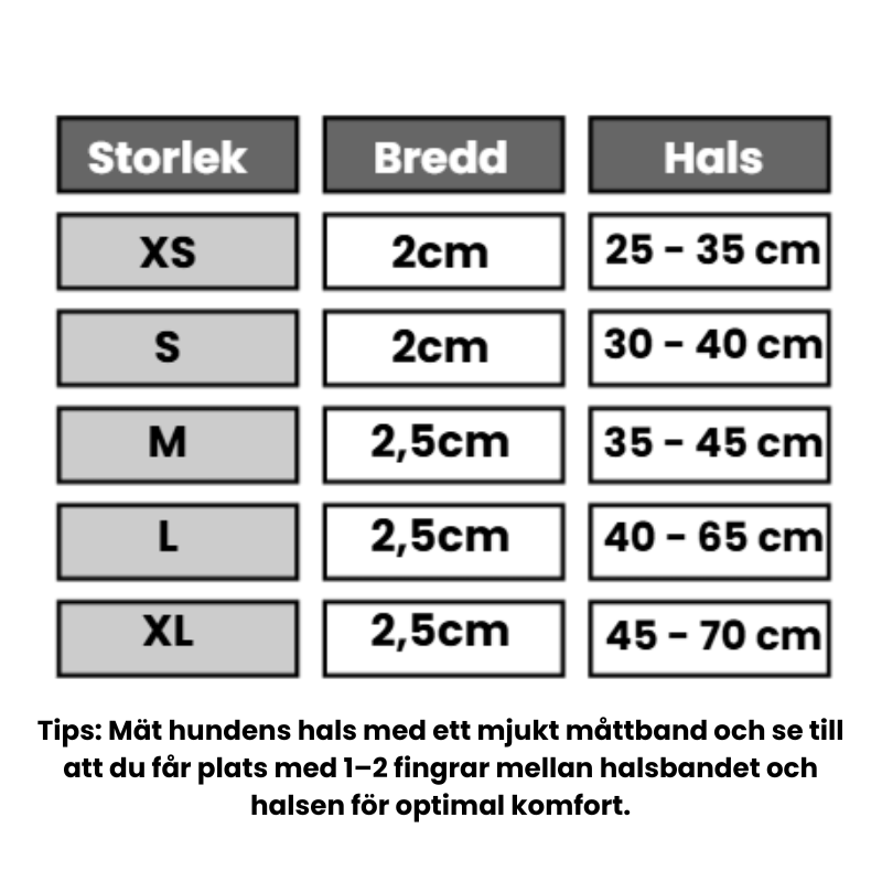 Bekvämt & säkert hundhalsband - perfekt för vardag och äventyr