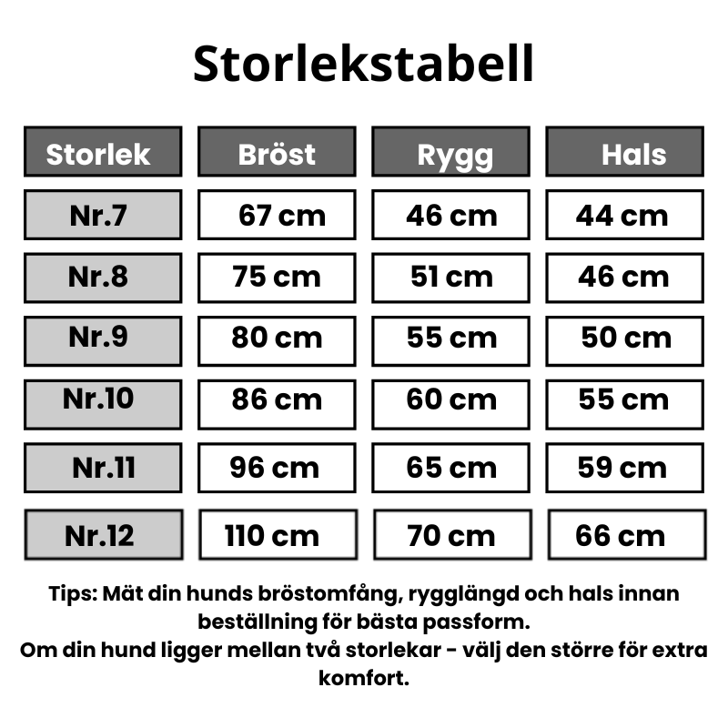 Stor hundregnjacka