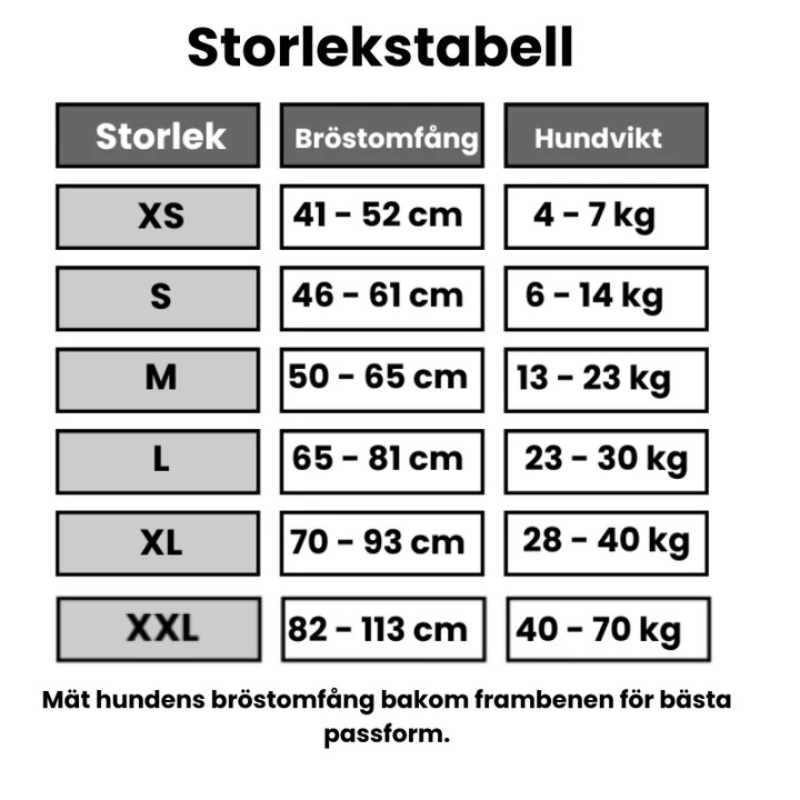 Robust & Bekväm Hundsele med Handtag- med personlig namntext!