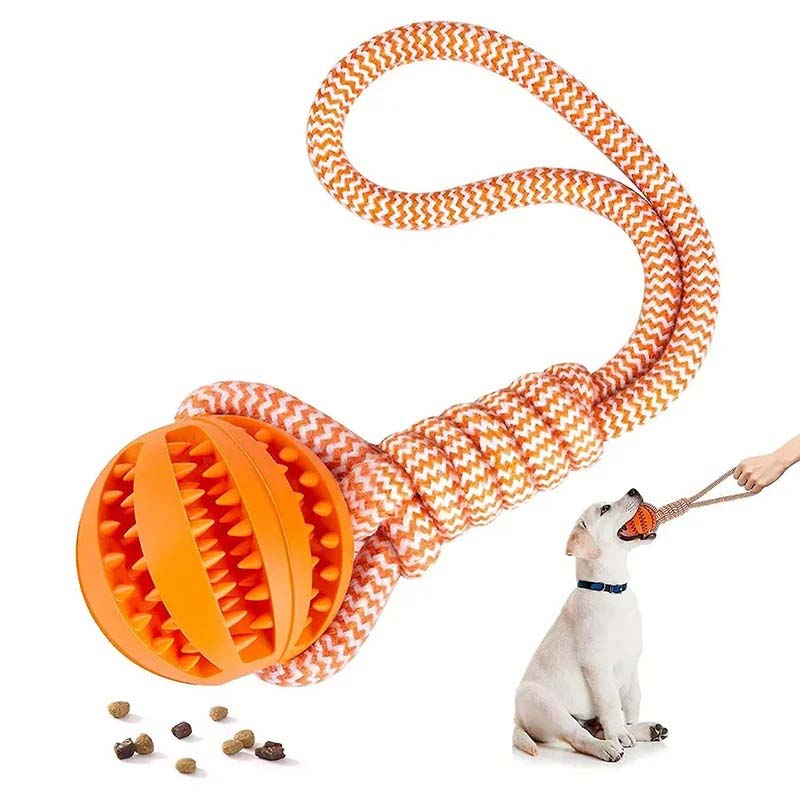 Tuggleksak för hund – dragkamp & tandrengöring