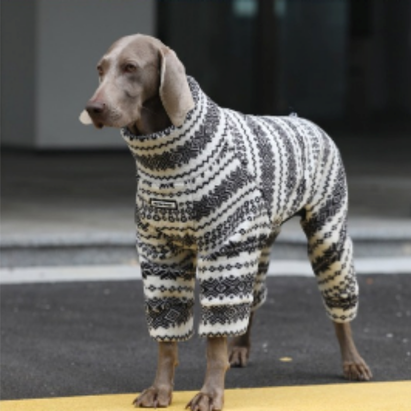 Värmande Hunddress för Större Raser