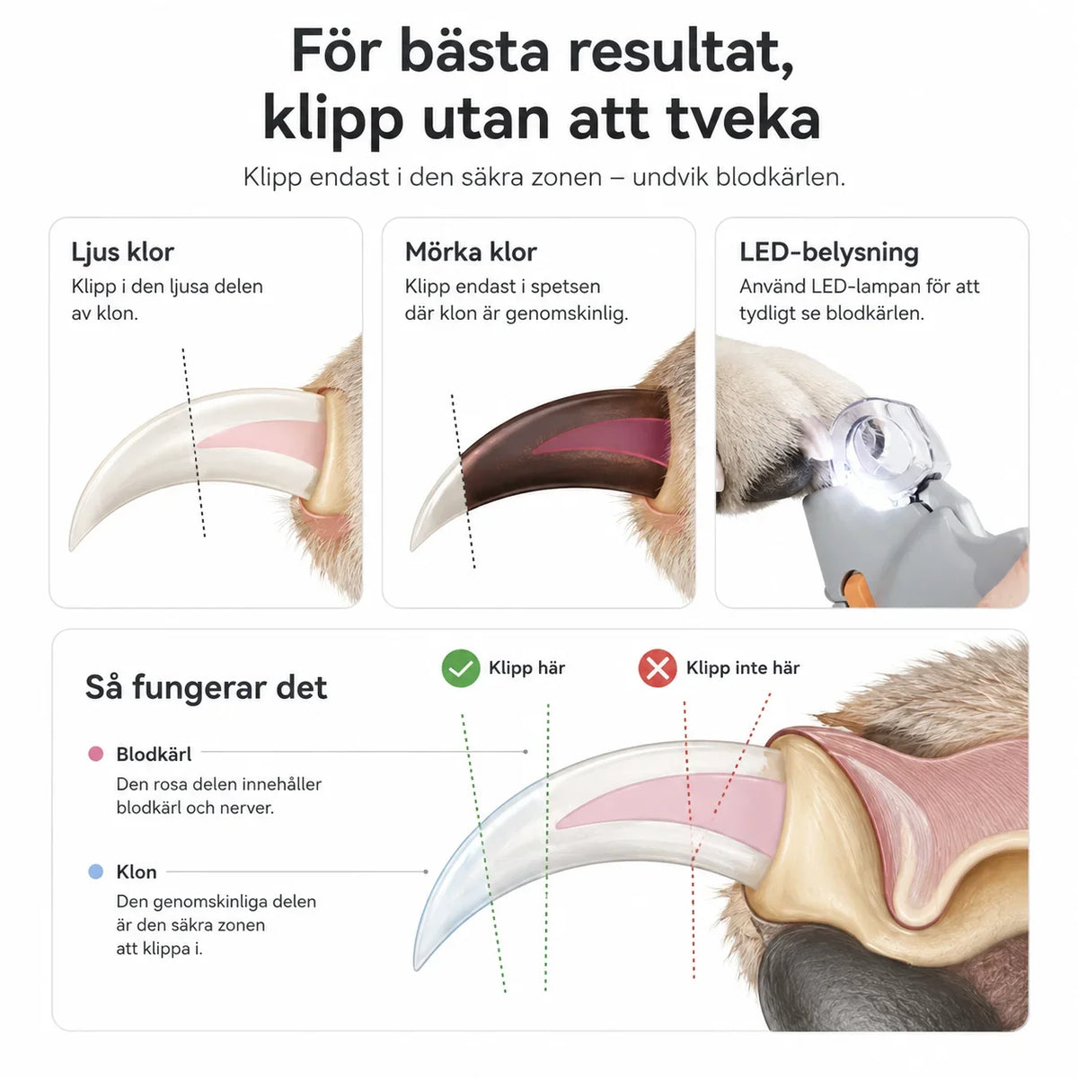 Klotång med LED-ljus för Hund och Katt