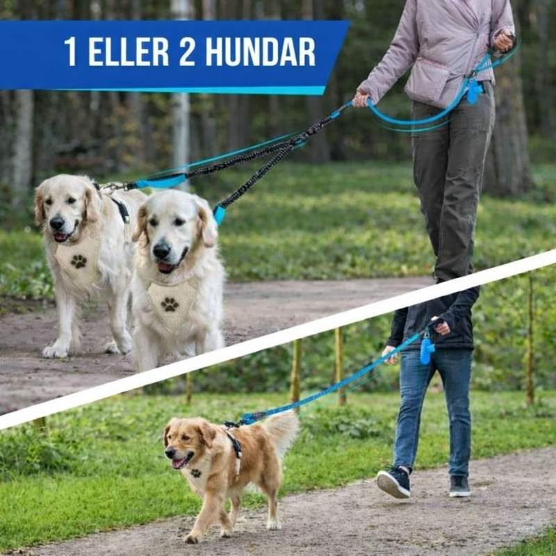 Dubbelkoppel hund med reflex och extra kontroll