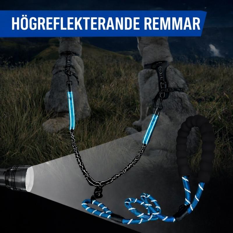 Dubbelkoppel hund med reflex och extra kontroll